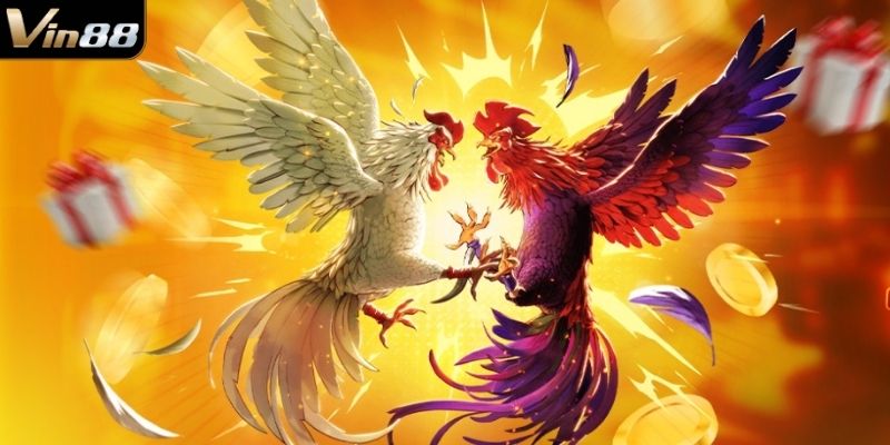 Các bước soi gà Vin88